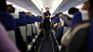 空中服務員在飛機上為乘客提供服務