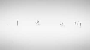 極簡冬季場景，稀疏的樹枝從深雪中冒出。 — 簡約美學 壁紙