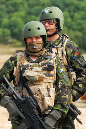 兩名身穿迷彩裝備的武裝士兵站在森林區域。