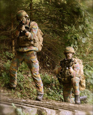 兩名身穿迷彩裝備的士兵在森林中蹲下並持步槍站立。