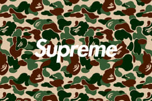 Supreme標誌在迷彩背景上帶有猿頭圖案