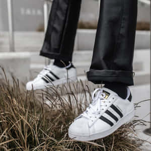 穿著白色adidas superstar運動鞋配黑色條紋的人，踏在混凝土階梯附近的乾草上。 — Adidas GIF 壁紙