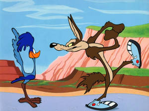Wile E. Coyote 在沙漠峽谷中單腳平衡，面對一隻藍色走鵑。