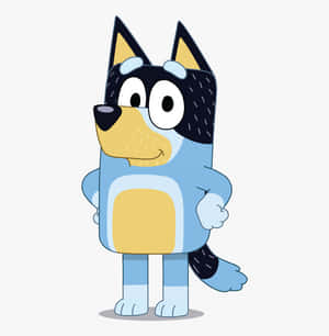 Bluey Background