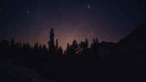 森林和山脈上方的星空夜空