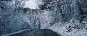 冬日裡，白雪覆蓋的道路蜿蜒穿過冰霜森林。 — 道路 壁紙