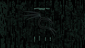 Linux企鵝標誌在綠色數位代碼中落在黑色背景上