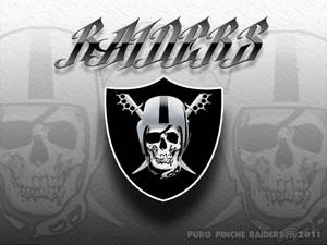 Raiders 足球隊標誌，帶有骷髏頭和交叉骨頭，置於紋理灰色背景上。