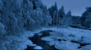 積雪的樹木和結冰的河流，暮色中有一座木橋。