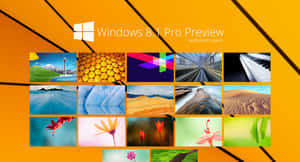 橙色背景上的 Windows 8.1 Pro Preview 壁紙包網格