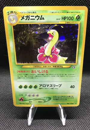一張Pokémon交易卡，展示帶有粉紅色花瓣的Mega Bayleef，展示在透明支架上。