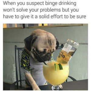 八哥犬穿著圖案襯衫喝瑪格麗特酒，旁邊有龍舌蘭酒瓶。