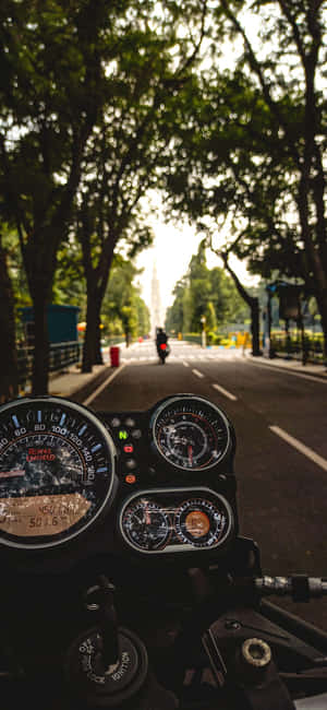 電單車儀表板視角，沿著綠樹成蔭的道路，日落時分