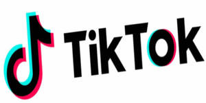 TikTok 標誌，黑色文字和彩色音符圖標。