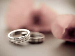 兩枚銀色結婚戒指鑲有鑽石，旁邊有一朵粉紅色花朵。 — 玫瑰金風格 壁紙