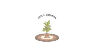 一個可愛的盆栽，長著綠葉，放在圓形地毯上，並有「herbal cuteness」字樣。