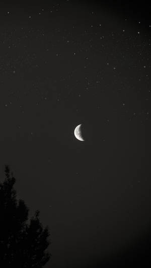 新月和星星在夜間樹木剪影上方