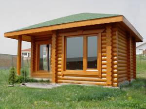 綠色屋頂的木屋在草地上