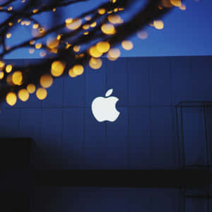 黃昏時建築物上的Apple標誌，帶有樹枝上的金色散景燈光。