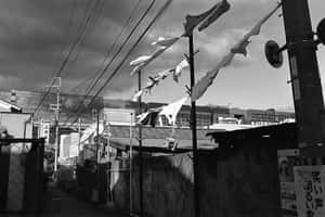 一條狹窄的城市小巷，掛著橫幅和頭頂電線，天空多雲。 — 極簡美學 壁紙