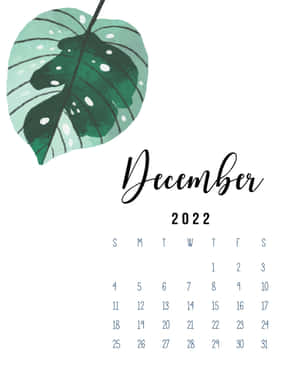 2022年12月月曆，帶有繪畫風格的龜背竹葉設計。 — 十二月 GIF 壁紙
