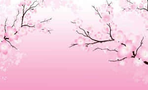 粉紅櫻花枝條襯托著柔和的漸變粉紅背景。 — 粉紅動漫美學 壁紙
