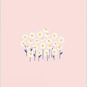 雛菊美學電腦 — 雛菊 壁紙