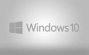 Windows 10 標誌在漸變灰色背景上。 — 純灰色 壁紙