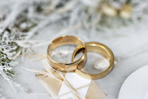 兩枚金色結婚戒指在白色紋理表面上，配有乾燥花。