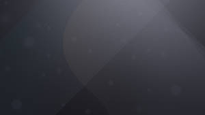 柔和灰色抽象背景，帶有光線和漂浮散景點。 — 灰色 GIF 壁紙