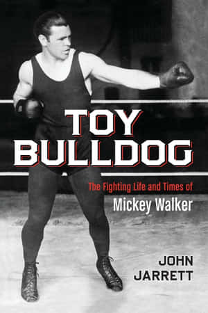 拳擊手 Mickey Walker 在拳擊擂台上擺出戰鬥姿勢，並帶有書名疊加。