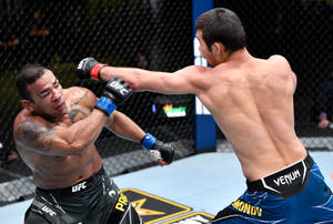 兩名男性MMA拳手在籠中進行高強度比賽。