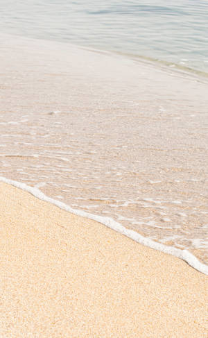 海浪輕輕地滾上金色沙灘的海岸線。