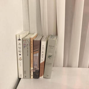 五本帶有韓文和法文書名的書籍，排列在窗簾旁的白色書架上。
