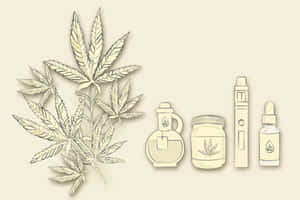 米色背景上以奶油色調繪製的大麻葉及相關產品。 — MacBook Pro 壁紙