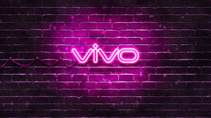 夜晚濕磚牆上的粉紅色霓虹 Vivo 標誌，帶有雨滴。
