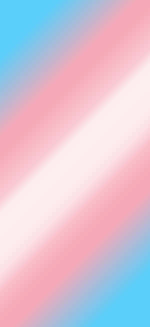 Trans Phone — Redmi Note 15 Special 壁紙