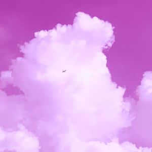 一架小飛機在夢幻般的天空中飛過紫色的雲層。 — 雲朵 壁紙