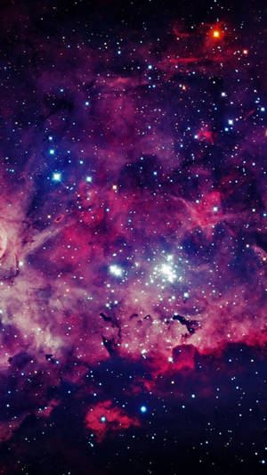 充滿活力的紫色和粉紅色星雲，在深空中充滿了發光的星星。