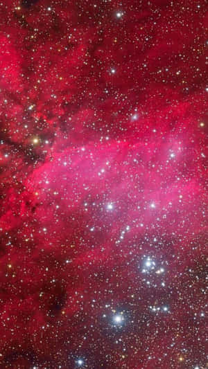 在深空中充滿明亮星星的紅色星雲。 — 淺粉紅色美學動圖 壁紙