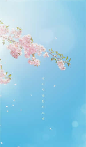 粉紅櫻花在清澈藍天下飄落，帶有韓文文字。 — Galaxy Tab A11 壁紙