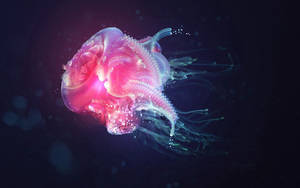 一隻發光嘅粉紅色水母喺黑暗嘅海水中漂流，帶有生物發光。