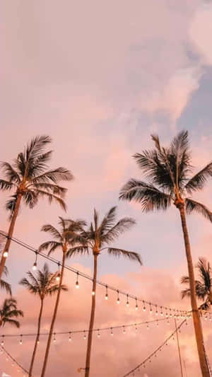 Preppy 美學圖片 — 棕櫚樹 GIF 壁紙