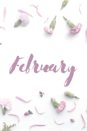 粉紅色康乃馨和花瓣圍繞以紫色字體書寫的「February」一詞排列。 — 冬日美學 壁紙
