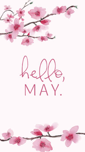 粉紅色的櫻花枝條圍繞著淺粉紅色背景上的「hello may」文字。