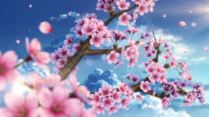 粉紅色的櫻花在樹枝上，背景是藍天、白雲和飄落的花瓣。 — 唯美花朵動圖 壁紙
