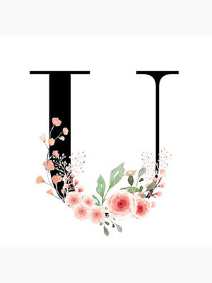 黑色字母U，以水彩風格裝飾粉紅色花朵和綠色葉子。 — 粉紅花朵 壁紙