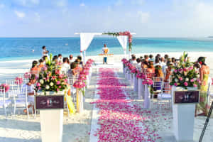 海灘婚禮，粉紅花瓣和白色椅子面向海洋。