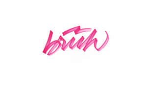粉紅色刷筆字體在白色背景上拼寫 brush