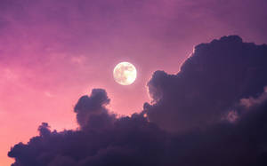 滿月透過紫色雲層在粉紅色夜空中閃耀